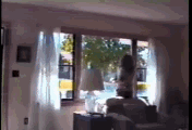 E11.gif
