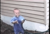 E16.gif
