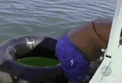 E19.gif
