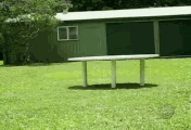 E28.gif