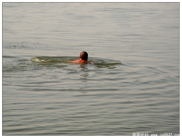 IMG_8715.jpg