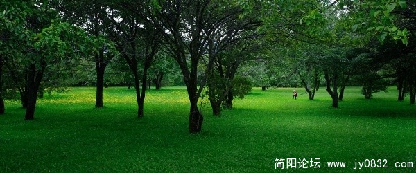 A06.jpg