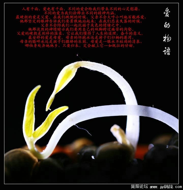 C02.jpg