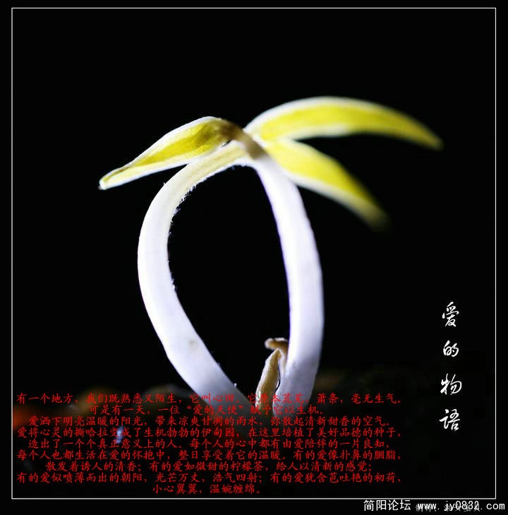 C01.jpg