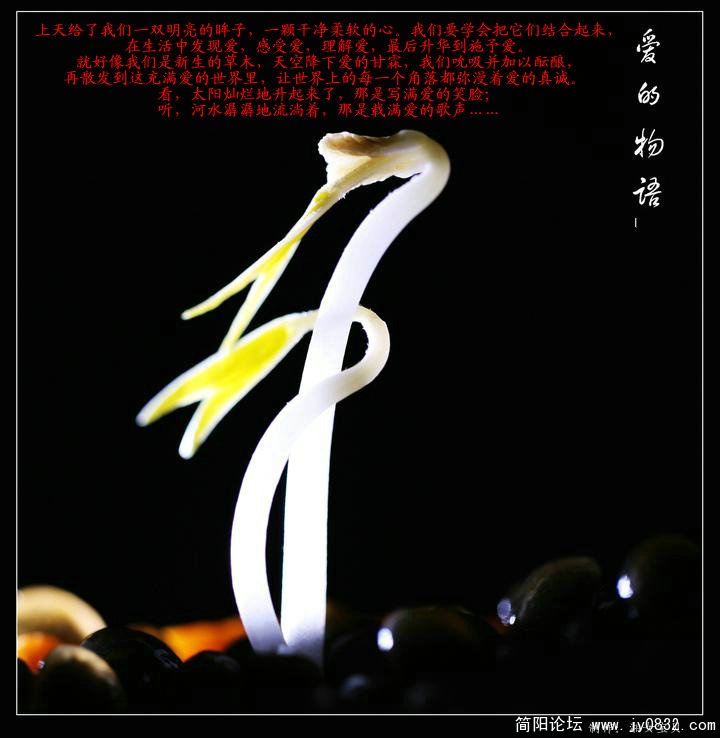 C04.jpg