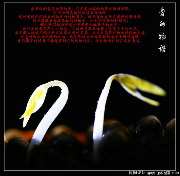 C03.jpg