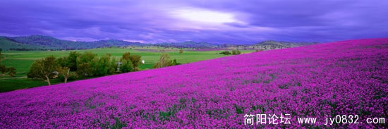 C06.jpg
