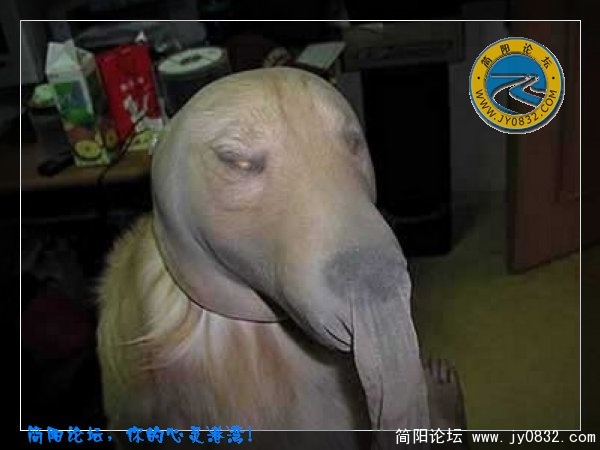 G04.jpg