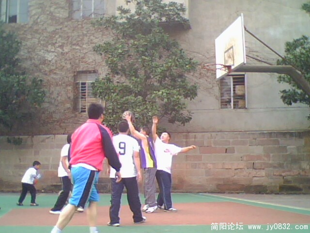 IMG0095A.jpg