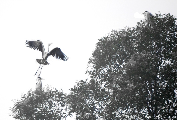 DSC_9922 拷贝.jpg