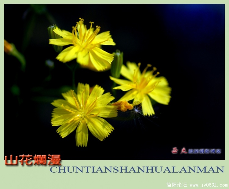 山花烂漫——05.jpg