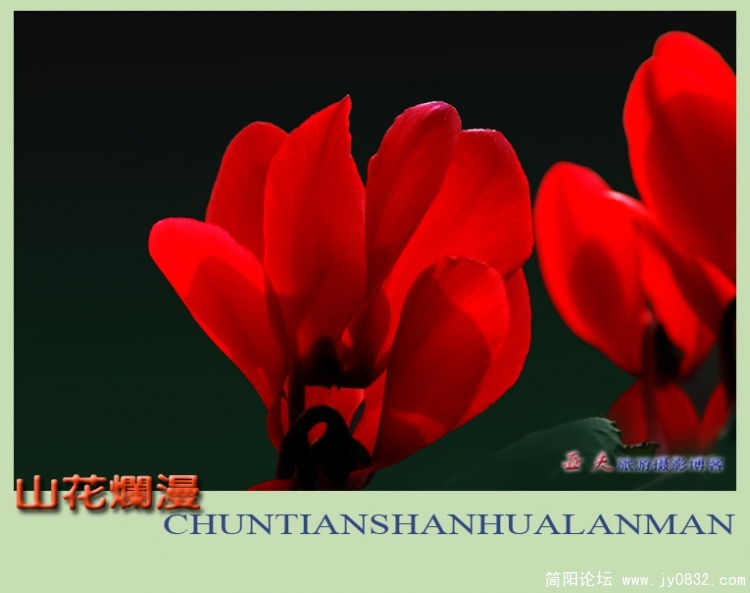 山花烂漫——07.jpg