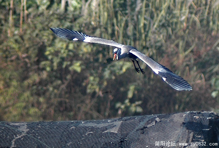 DSC_9789 拷贝.jpg
