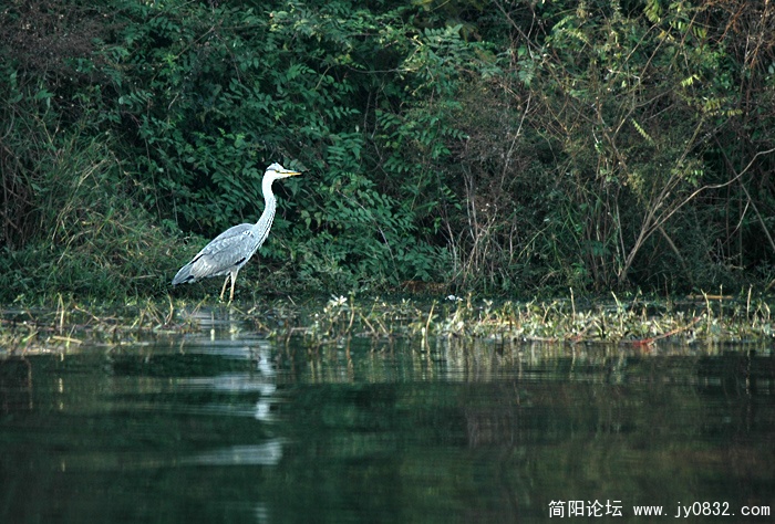 DSC_9733 拷贝.jpg