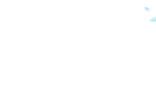 05.gif