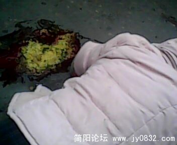 IMG0008A.jpg