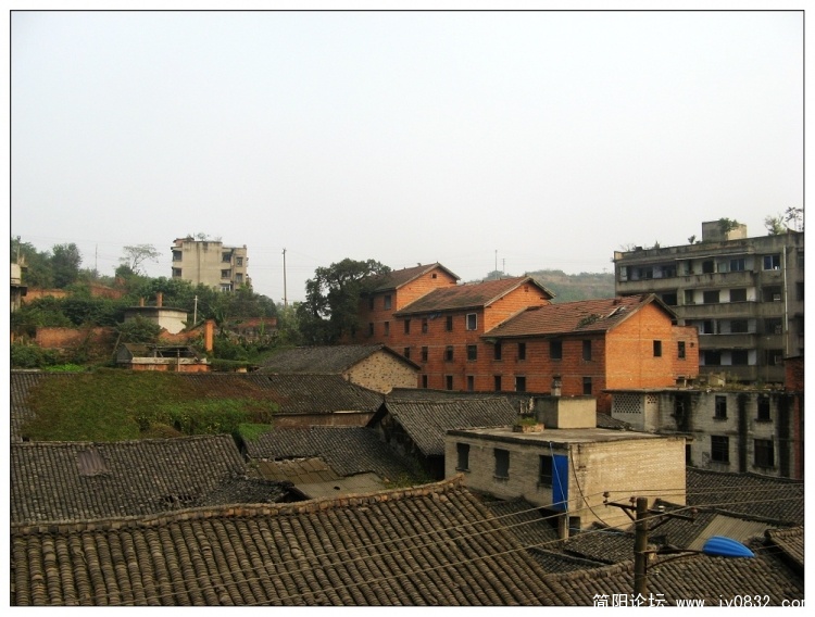 IMG_8940.jpg