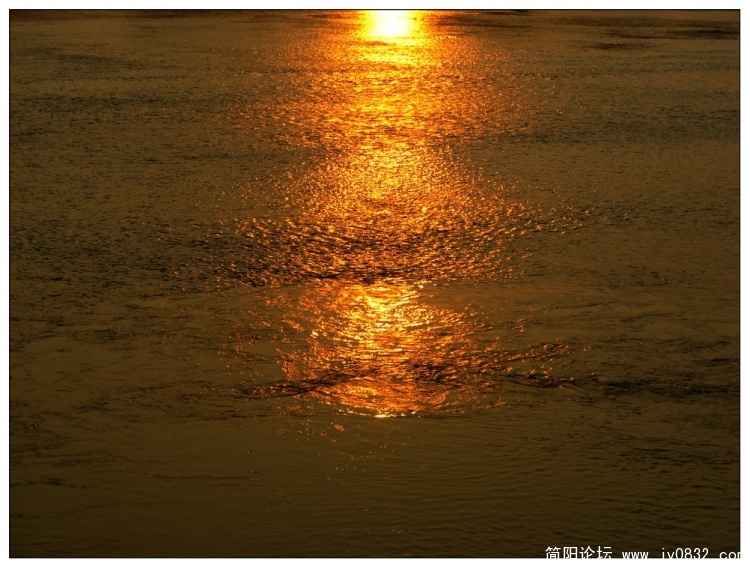 IMG_8872.jpg