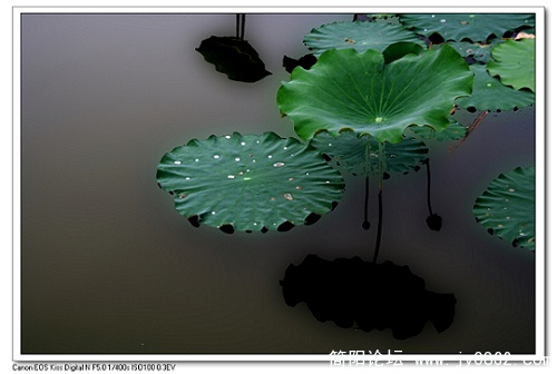 nEO_IMG_IMG_7349.jpg