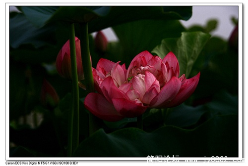 nEO_IMG_IMG_7480.jpg