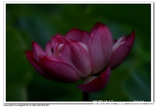 nEO_IMG_IMG_7479.jpg