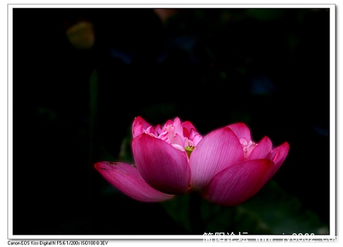 nEO_IMG_IMG_7411.jpg