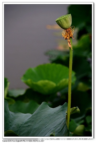 nEO_IMG_IMG_7359.jpg