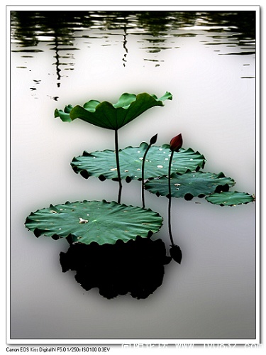 nEO_IMG_IMG_7355.jpg