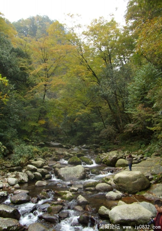P3150079.JPG