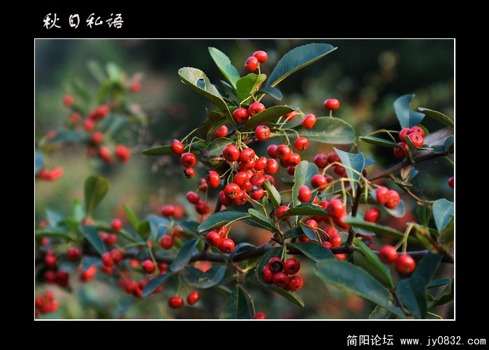 未命名-1副本.jpg