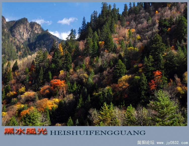黑水风光（一）——12副本.jpg