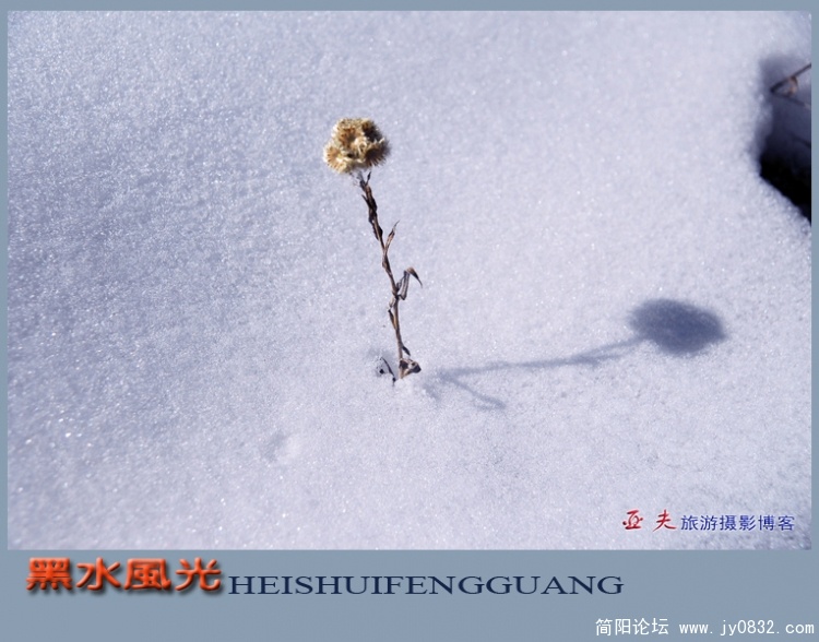 黑水风光（二）——02副本.jpg