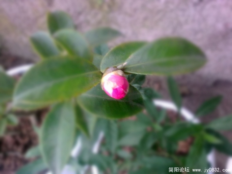 图像0019_光影_1.jpg