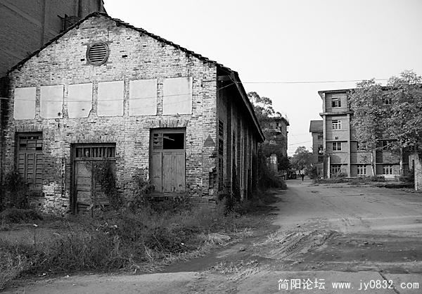 DSC00321 拷贝.jpg