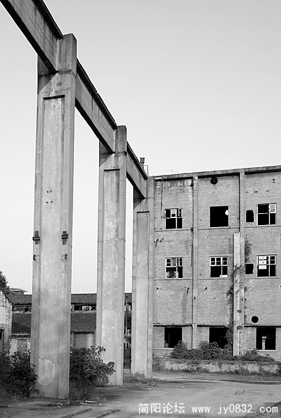 DSC00323 拷贝.jpg