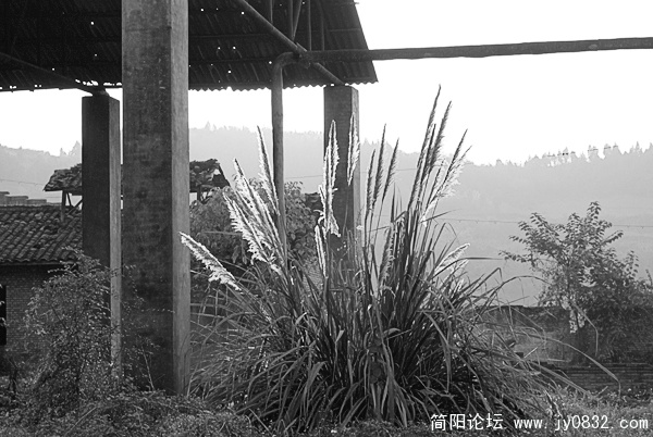 DSC00333 拷贝.jpg