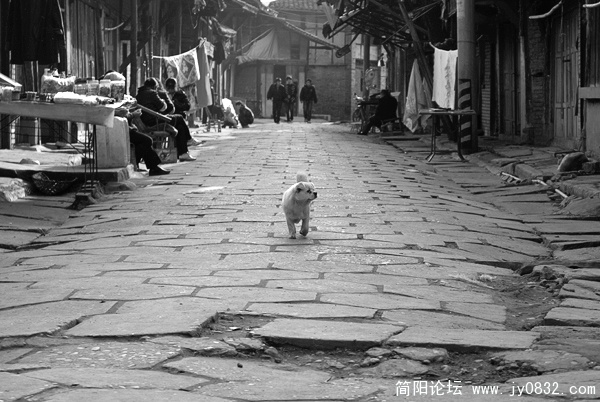 DSC00254 拷贝.jpg