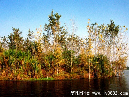 三岔湖风光8.JPG