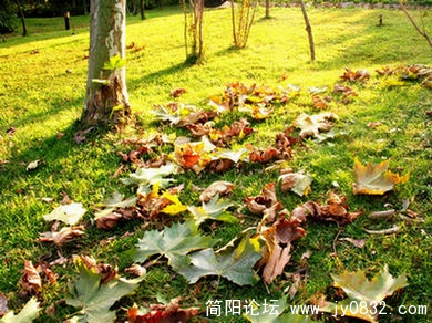 三岔湖风光7.JPG