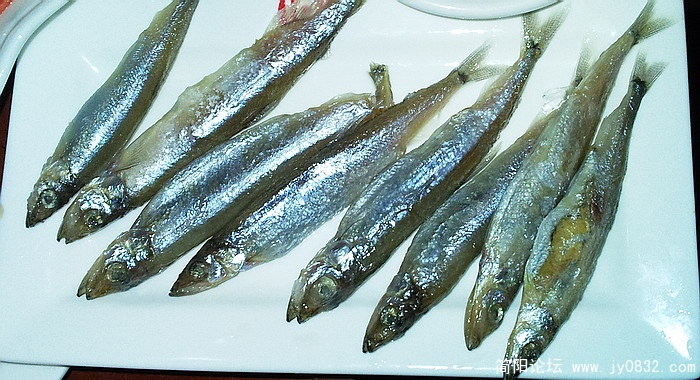 照片0198.jpg