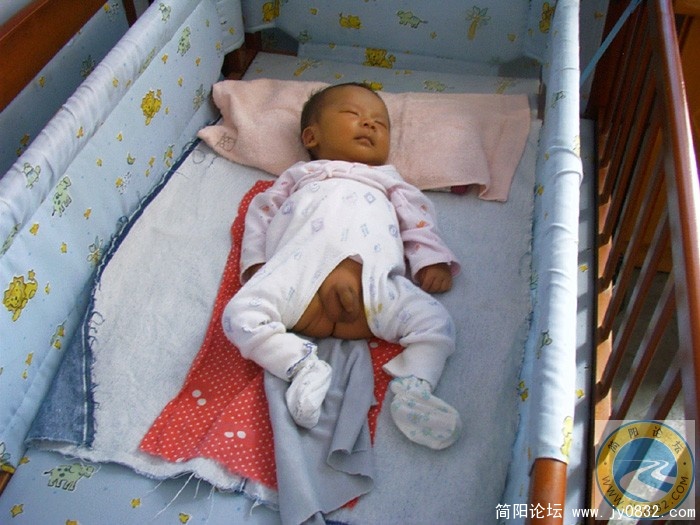 秦渝1.jpg