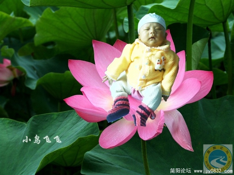 秦渝3.jpg