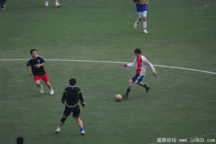 IMGP3764.jpg