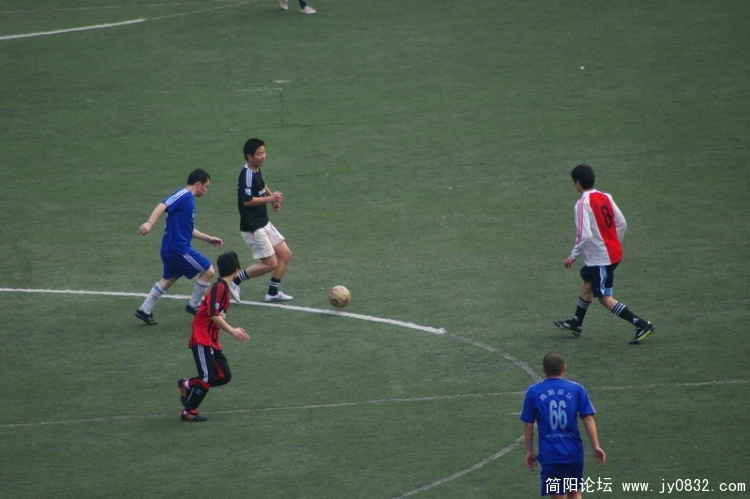 IMGP3763.jpg