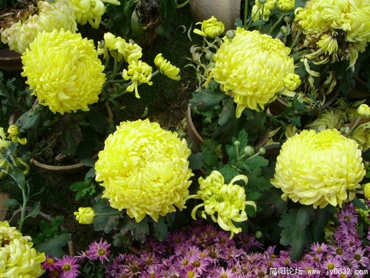 SL701799.jpg