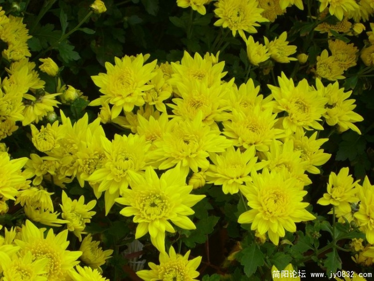 SL701795.jpg