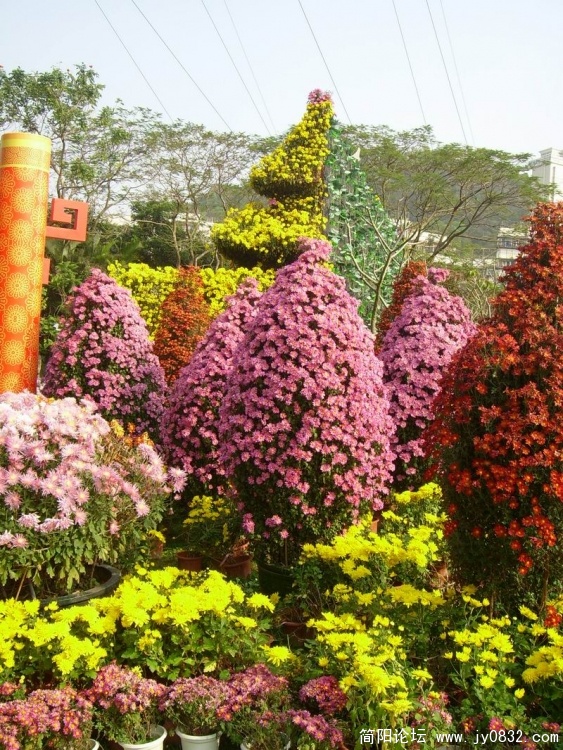旋转 SL701808.jpg