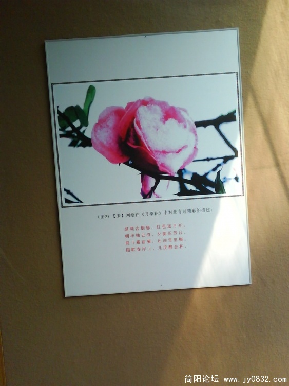 旋转 照片0063.jpg