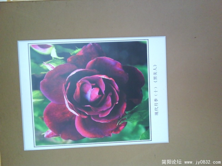 照片0065.jpg