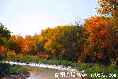 DSC_3379.jpg